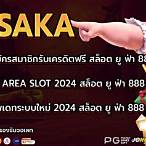 ทางเข้า area slot